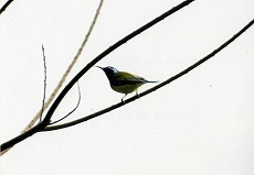 �ʐ^�F�G���r�^�C���E�`���E